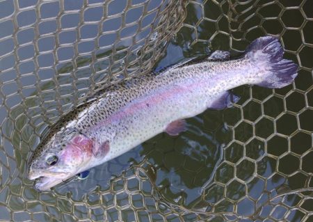 今シーズン初ホーム ～大安トラウトレイク～…